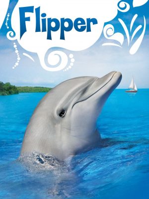 Flipper, a smiling tv dolphin