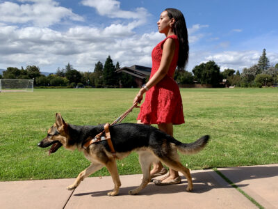 The alt text for this image appears in the caption.